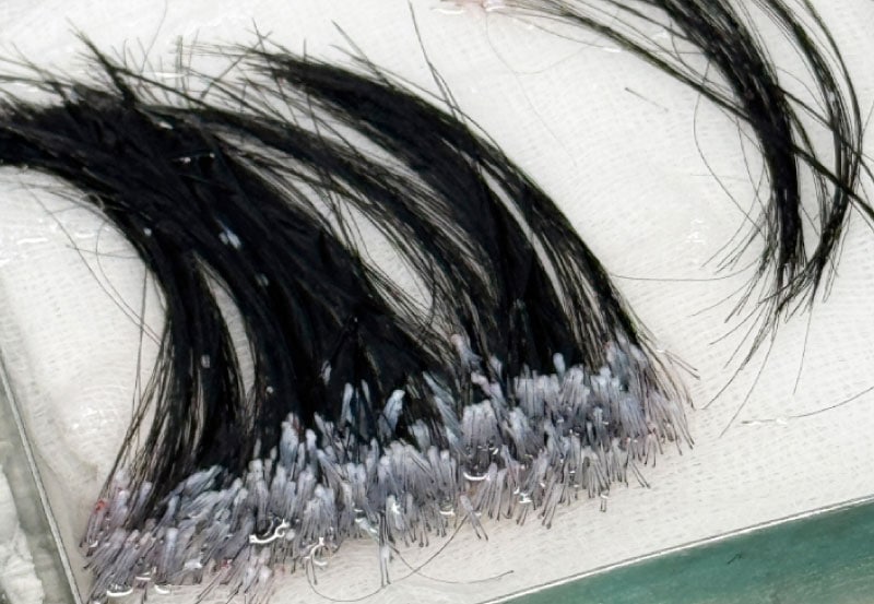 เทคนิคปลูกผม Long Hair