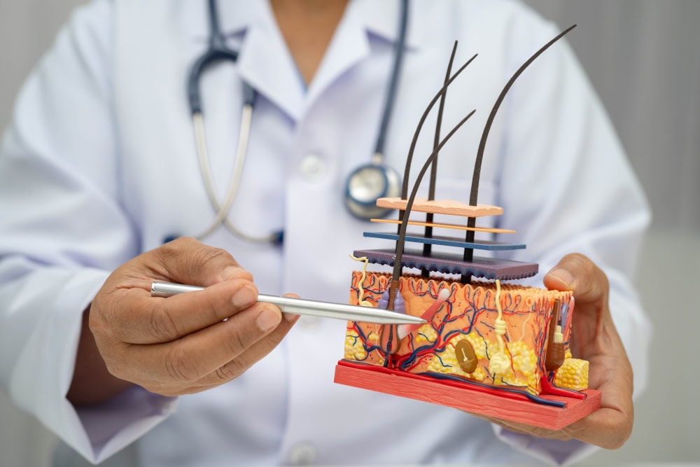 เมดิคัลทัวริซึม ปลูกผมในไทย ดูแลจากทักษะและความประณีตของแพทย์